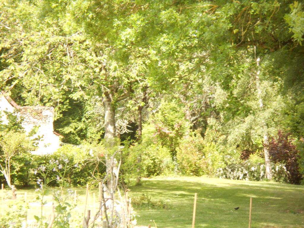 B&B La Ferme Des Bordes Pontlevoy Exterior photo