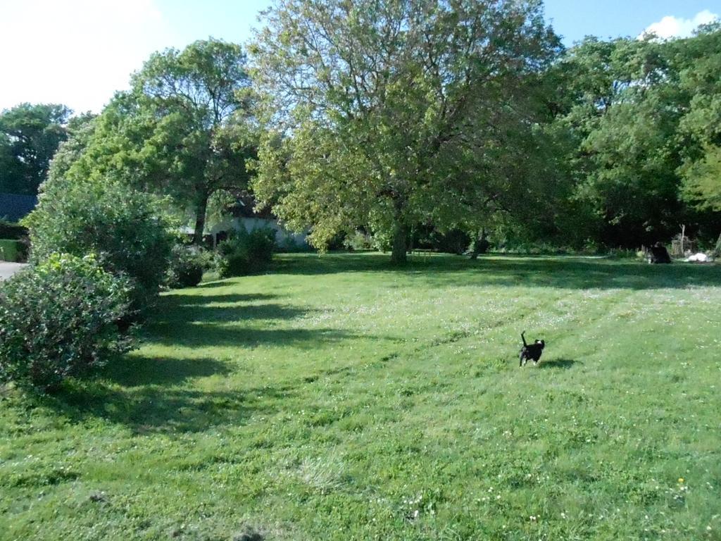 B&B La Ferme Des Bordes Pontlevoy Exterior photo
